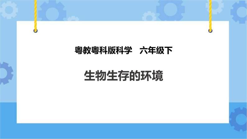 粤教粤科版六下科学3.14《生物生存的环境》课件+教案+练习+素材01