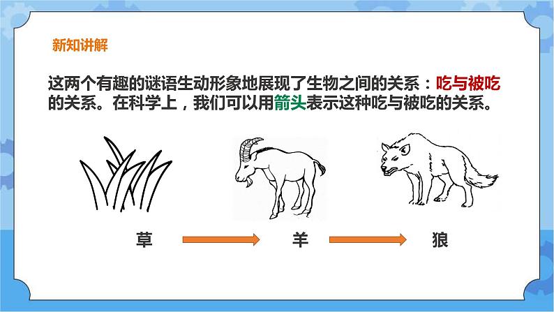 粤教粤科版六下科学3.16《生物间的食物关系》课件+教案+练习+素材04