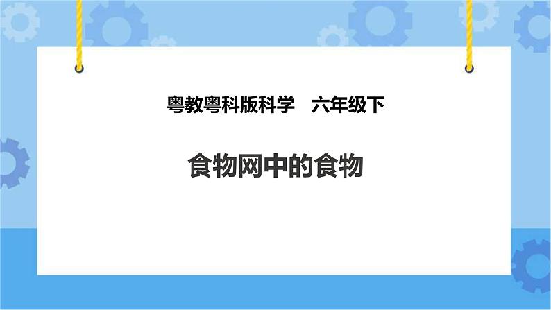 粤教粤科版六下科学3.17《食物网中的生物》课件+教案+练习+素材01