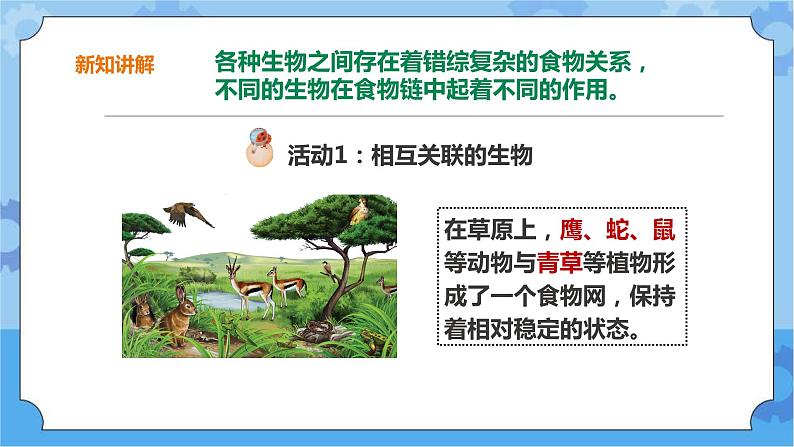 粤教粤科版六下科学3.17《食物网中的生物》课件+教案+练习+素材04