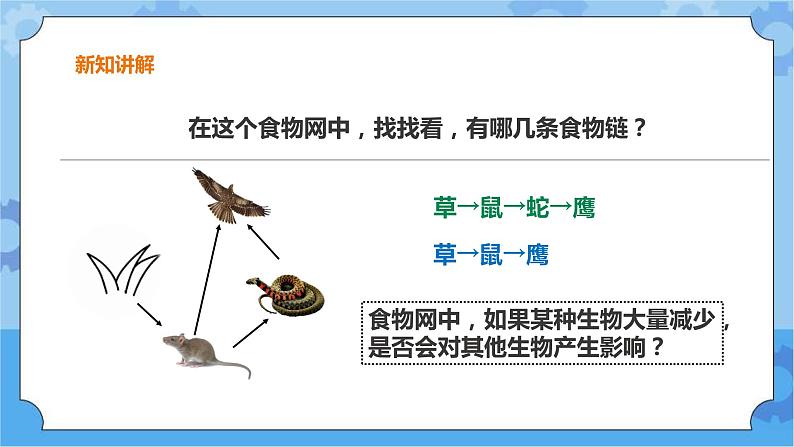 粤教粤科版六下科学3.17《食物网中的生物》课件+教案+练习+素材05