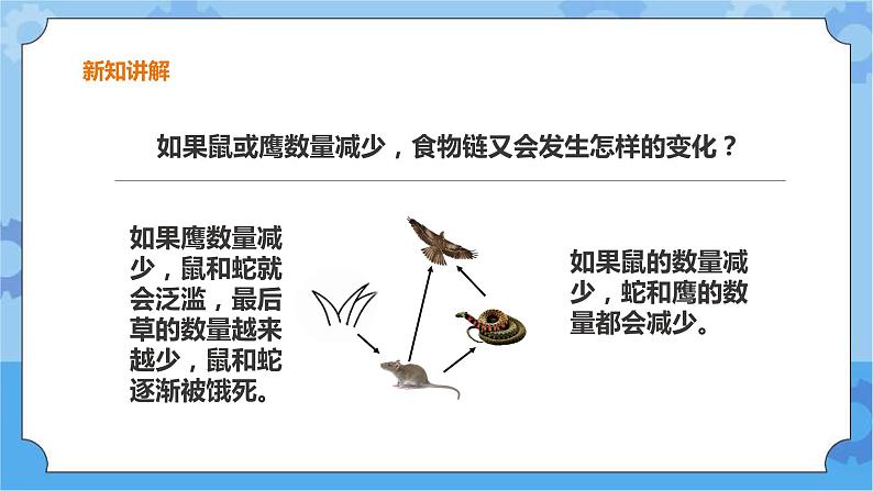 粤教粤科版六下科学3.17《食物网中的生物》课件+教案+练习+素材08