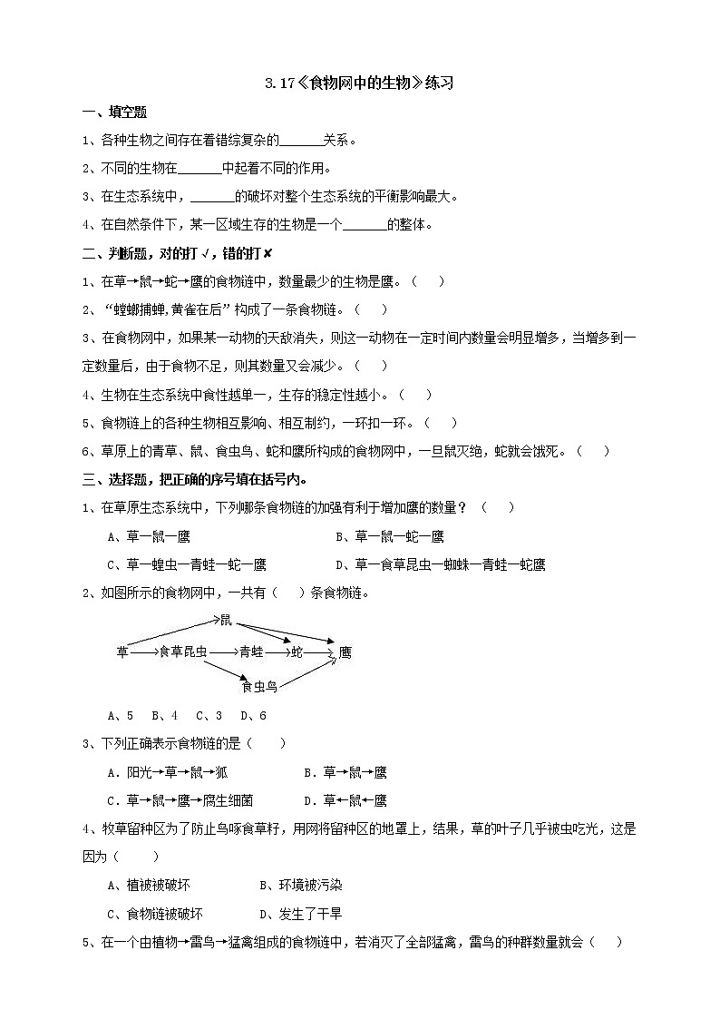 粤教粤科版六下科学3.17《食物网中的生物》课件+教案+练习+素材01