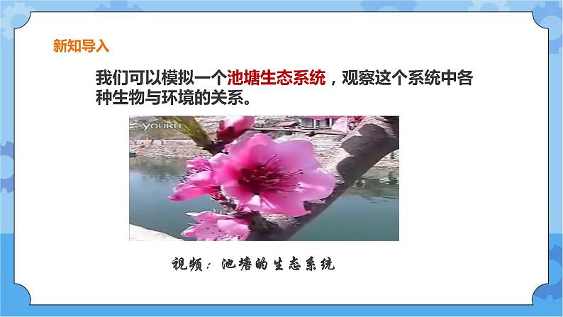 粤教粤科版六下科学3.18《专题探究：生态瓶的秘密》课件+教案+练习+素材04