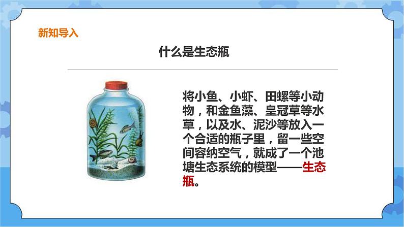 粤教粤科版六下科学3.18《专题探究：生态瓶的秘密》课件+教案+练习+素材05