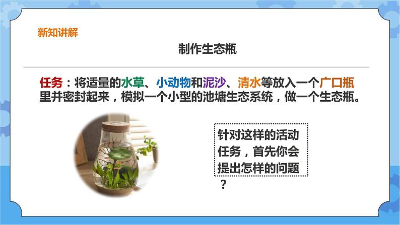 粤教粤科版六下科学3.18《专题探究：生态瓶的秘密》课件+教案+练习+素材06