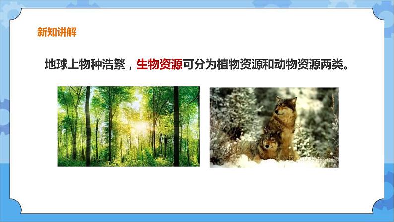 粤教粤科版六下科学4.19《地球上的自然资源》课件+教案+练习+素材07