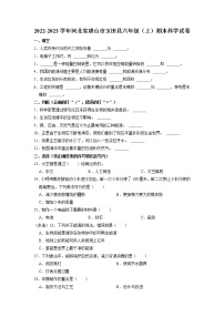 河北省唐山市玉田县2022-2023学年六年级上学期期末教学质量调研科学试题++冀北版（有答案）