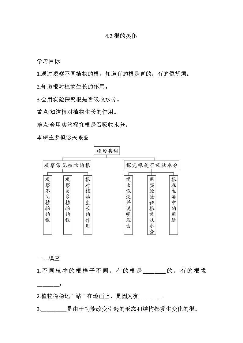 湘科版三年级下册科4.2 根的奥秘 同步练习（含答案）01