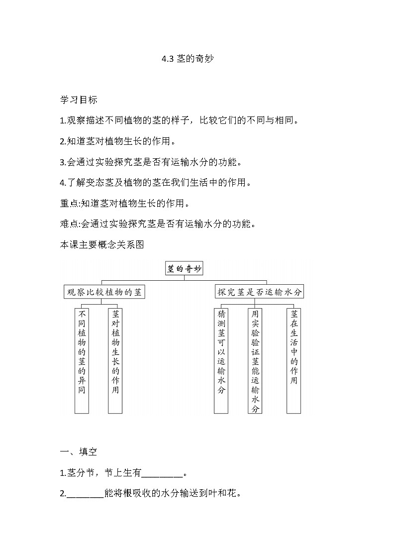 湘科版三年级下册科4.3 茎的奇妙 同步练习（含答案）01