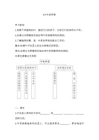 湘科版 (2017)三年级下册第四单元 植物的秘密4 叶的神奇达标测试