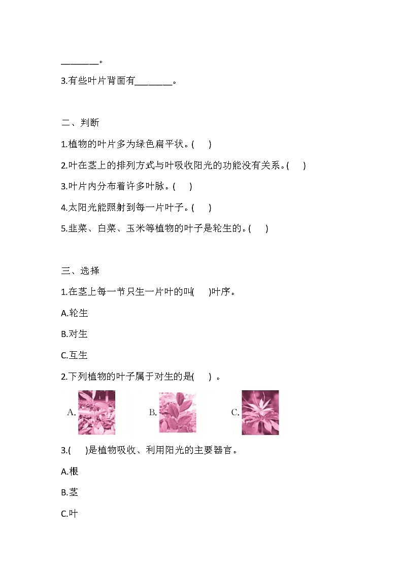 湘科版三年级下册科4.4 叶的神奇 同步练习（含答案）02