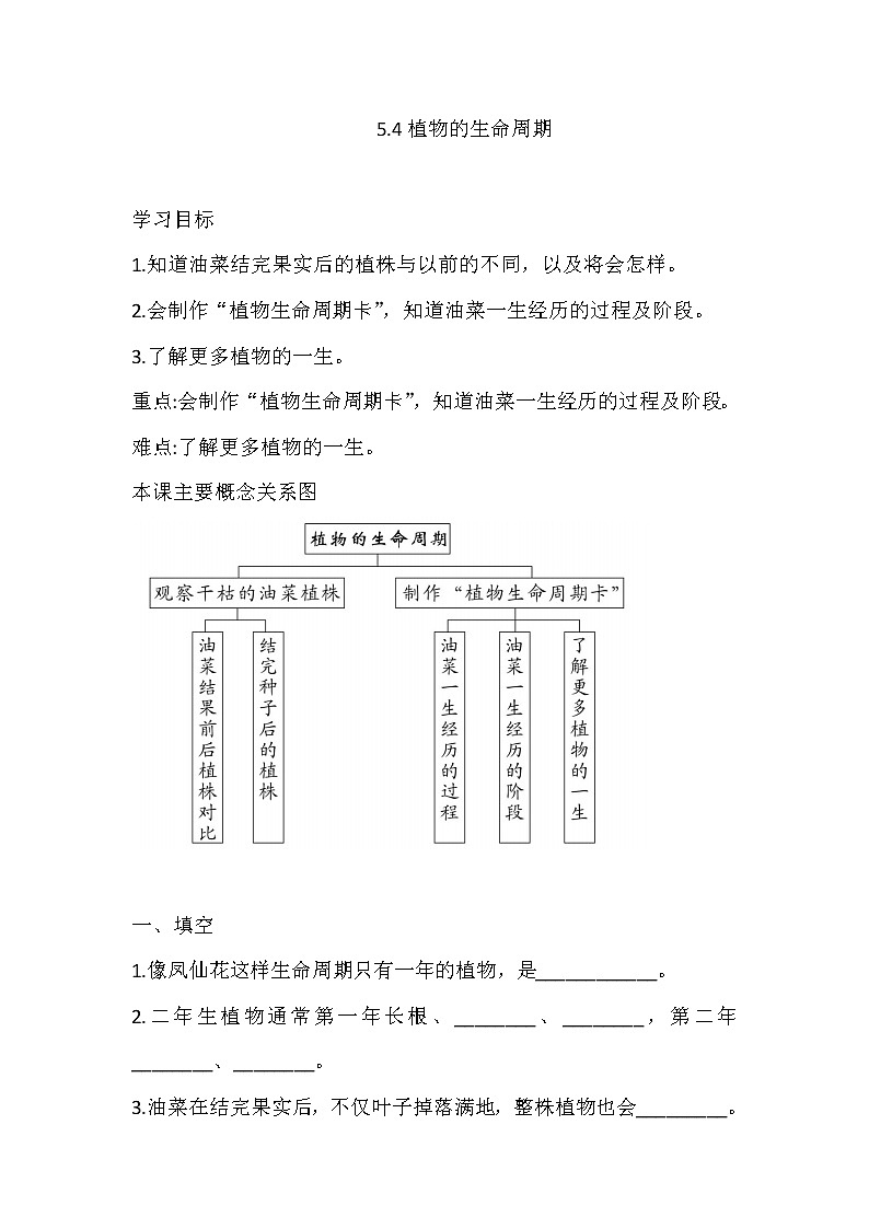 湘科版三年级下册科5.4 植物的生命周期 同步练习（含答案）01