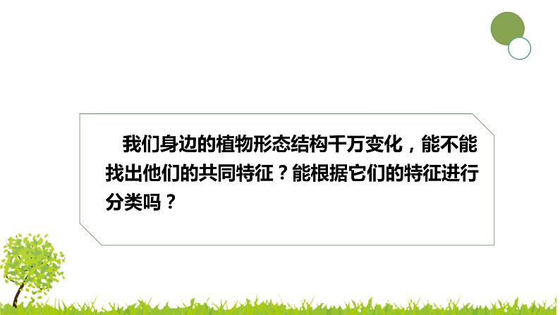 青岛版科学（2017）六三制六年级下册6.《.给植物分类》教学课件07