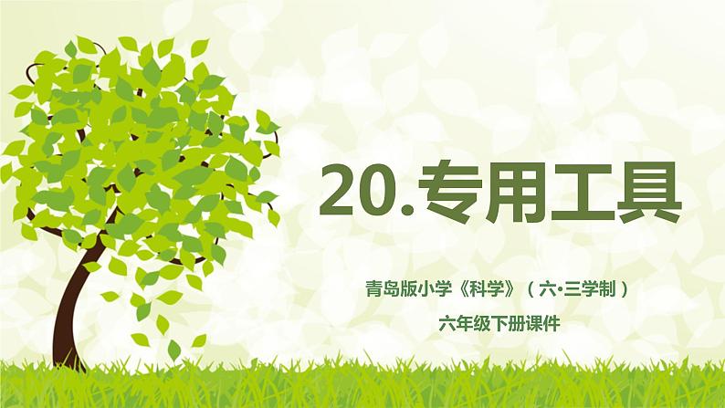 青岛版科学（2017）六三制六年级下册20.《专用工具》教学课件01