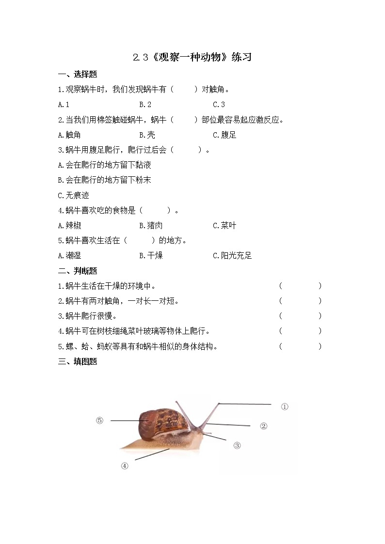 2.3《观察一种动物》同步练习第1页