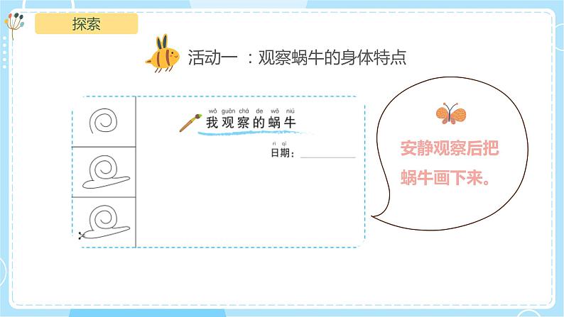 2.3《观察一种动物》课件第6页