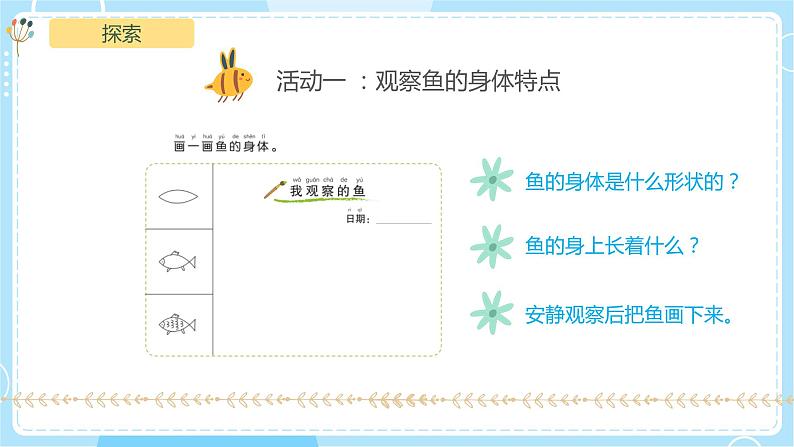【教科版】一下科学  2.5 观察鱼 课件+教案+练习+素材08