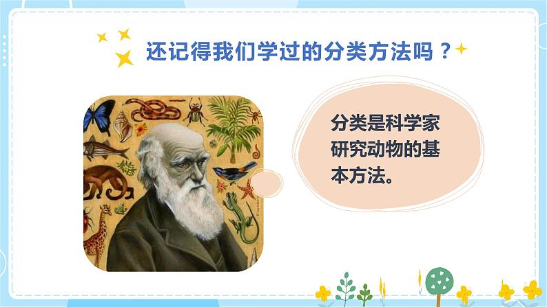 2.6《给动物分类》课件第3页