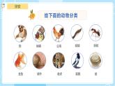 【教科版】一下科學  2.6 給動物分類 課件+教案+練習+素材
