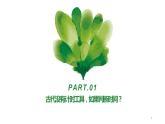 （教科版）五年级上册科学 3.1时间在流逝 （课件）