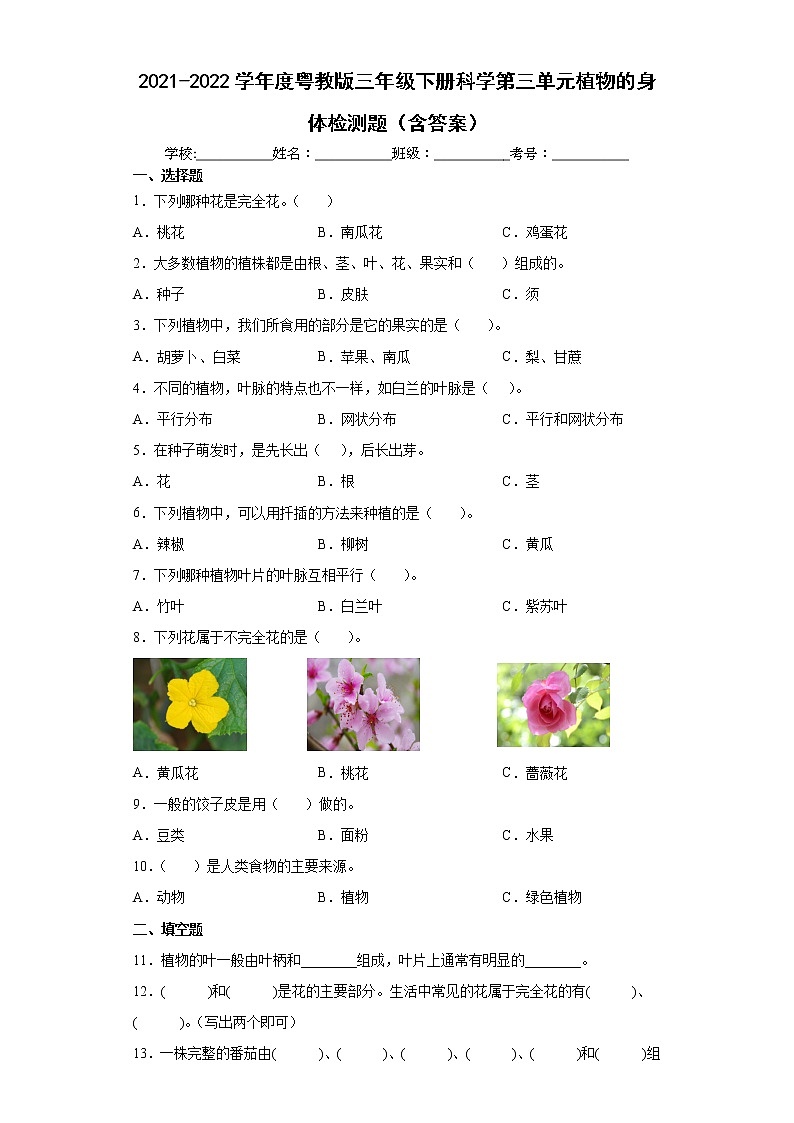 2021-2022学年度粤教版三年级下册科学第三单元植物的身体检测题（含答案）第1页