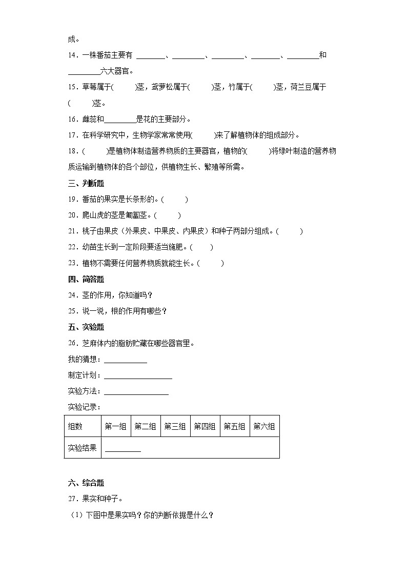 2021-2022学年度粤教版三年级下册科学第三单元植物的身体检测题（含答案）第2页