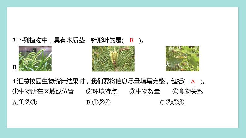 2.2 制作校园生物分布图（习题课件）教科版（2017）六年级科学下册04