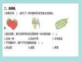 2.3 形形色色的植物（习题课件）教科版（2017）六年级科学下册