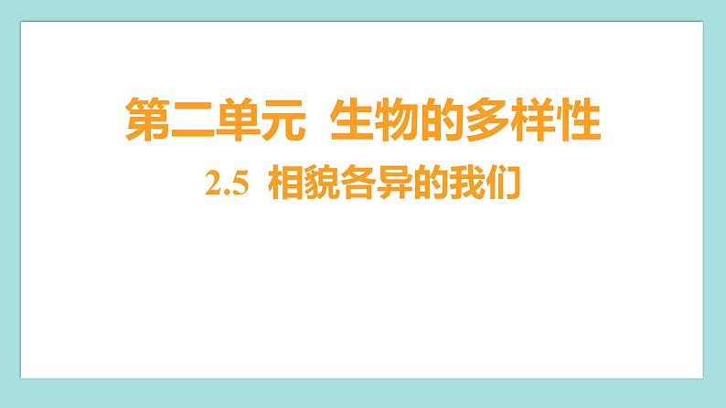 2.5 相貌各异的我们（习题课件）教科版（2017）六年级科学下册01