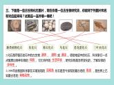 2.6 古代生物的多样性（习题课件）教科版（2017）六年级科学下册