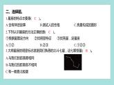 3.4 认识星座（习题课件）教科版（2017）六年级科学下册
