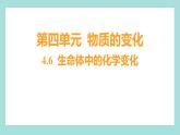 4.6 生命体中的化学变化（习题课件）教科版（2017）六年级科学下册