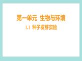 1.1 种子发芽实验（习题课件）教科版（2017）五年级科学下册