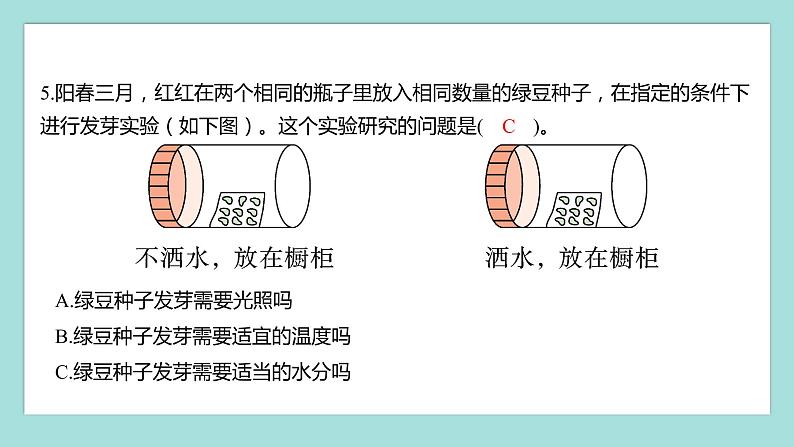 1.1 种子发芽实验（习题课件）教科版（2017）五年级科学下册04