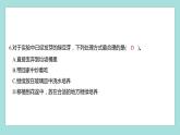 1.2 比较种子发芽实验（习题课件）教科版（2017）五年级科学下册
