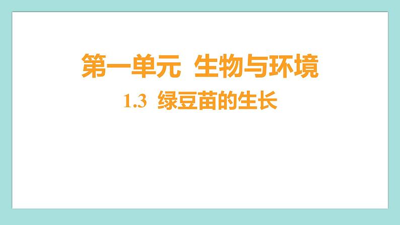 1.3 绿豆苗的生长（习题课件）教科版（2017）五年级科学下册01