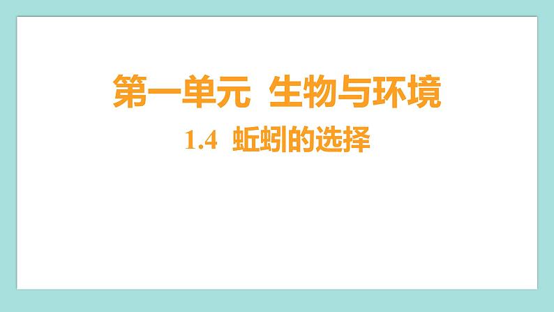 1.4 蚯蚓的选择（习题课件）教科版（2017）五年级科学下册01