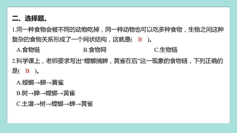 1.6 食物链和食物网（习题课件）教科版（2017）五年级科学下册03