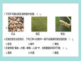 1.6 食物链和食物网（习题课件）教科版（2017）五年级科学下册