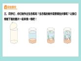 1.7 设计和制作生态瓶（习题课件）教科版（2017）五年级科学下册