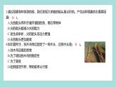 2.1 船的历史（习题课件）教科版（2017）五年级科学下册