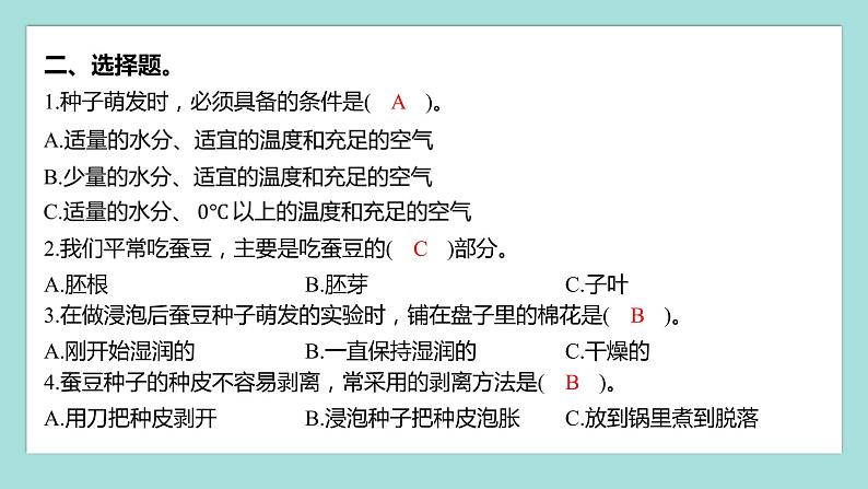 1.1 种子里孕育着新生命（习题课件）教科版（2017）四年级科学下册03