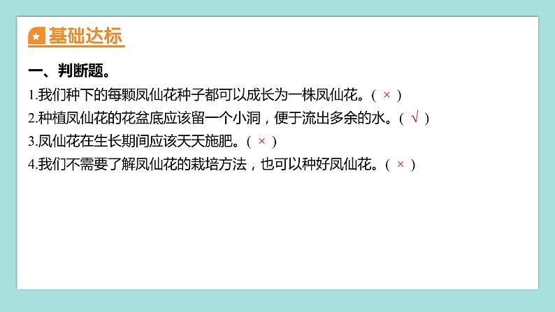 1.2 种植凤仙花（习题课件）教科版（2017）四年级科学下册02