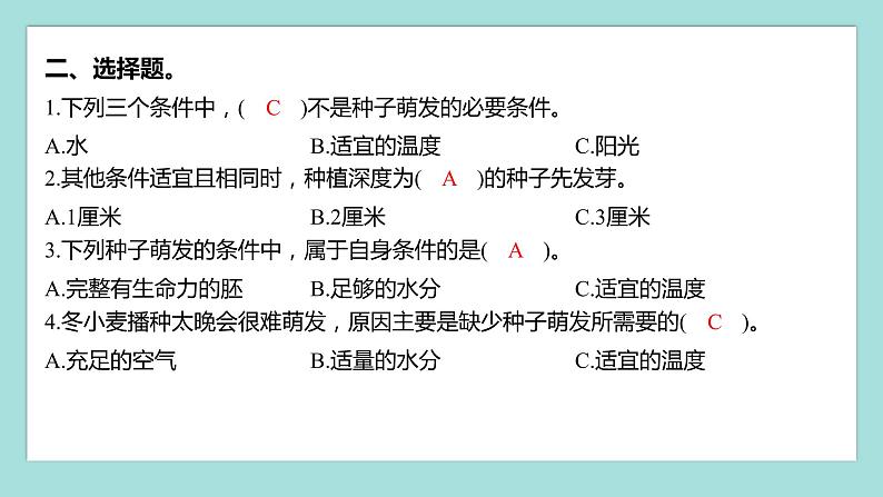 1.2 种植凤仙花（习题课件）教科版（2017）四年级科学下册03