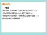 1.3 种子长出了根（习题课件）教科版（2017）四年级科学下册