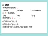 1.3 种子长出了根（习题课件）教科版（2017）四年级科学下册