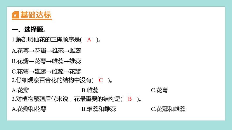 1.5 凤仙花开花了（习题课件）教科版（2017）四年级科学下册02