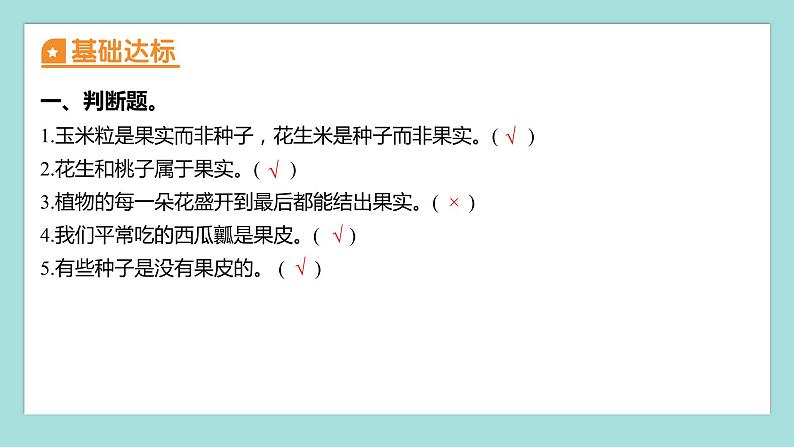 1.6 果实和种子（习题课件）教科版（2017）四年级科学下册02