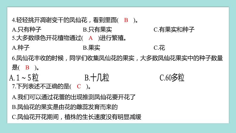 1.6 果实和种子（习题课件）教科版（2017）四年级科学下册04